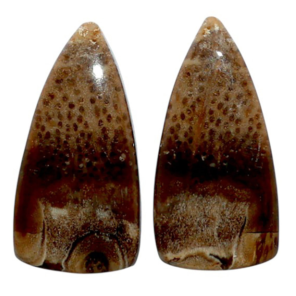 Root Plume Agate Pair 11x22x4.6 mm Fancy Shape Polished Gemstone LS18-07856