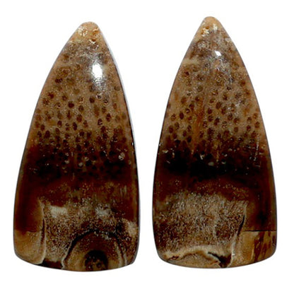 Root Plume Agate Pair 11x22x4.6 mm Fancy Shape Polished Gemstone LS18-07856