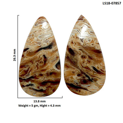 Root Plume Agate Pair 13.8x26.3x4.3 mm Pear Shape Polished Gemstone LS18-07857