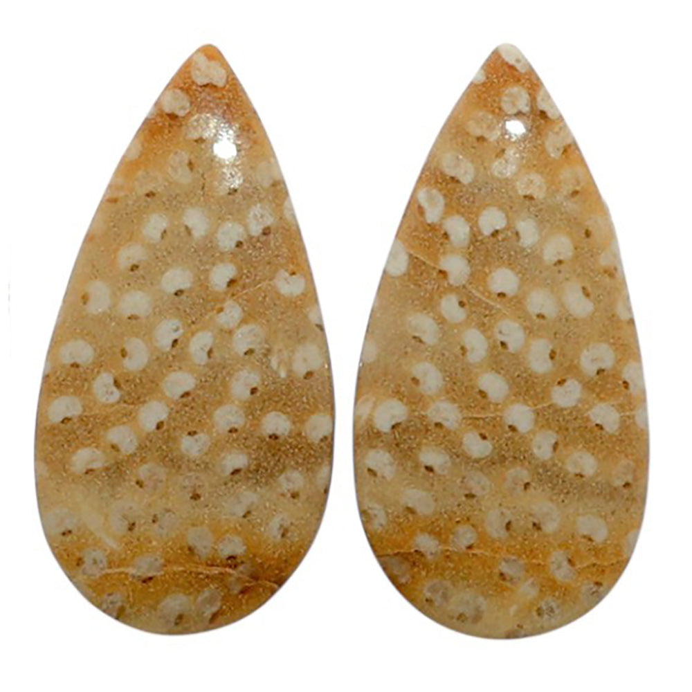 Root Plume Agate Pair 11.2x22.45x4 mm Pear Shape Polished Gemstone LS18-07858
