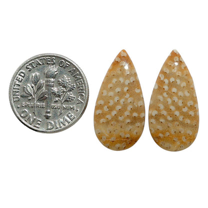 Root Plume Agate Pair 11.2x22.45x4 mm Pear Shape Polished Gemstone LS18-07858