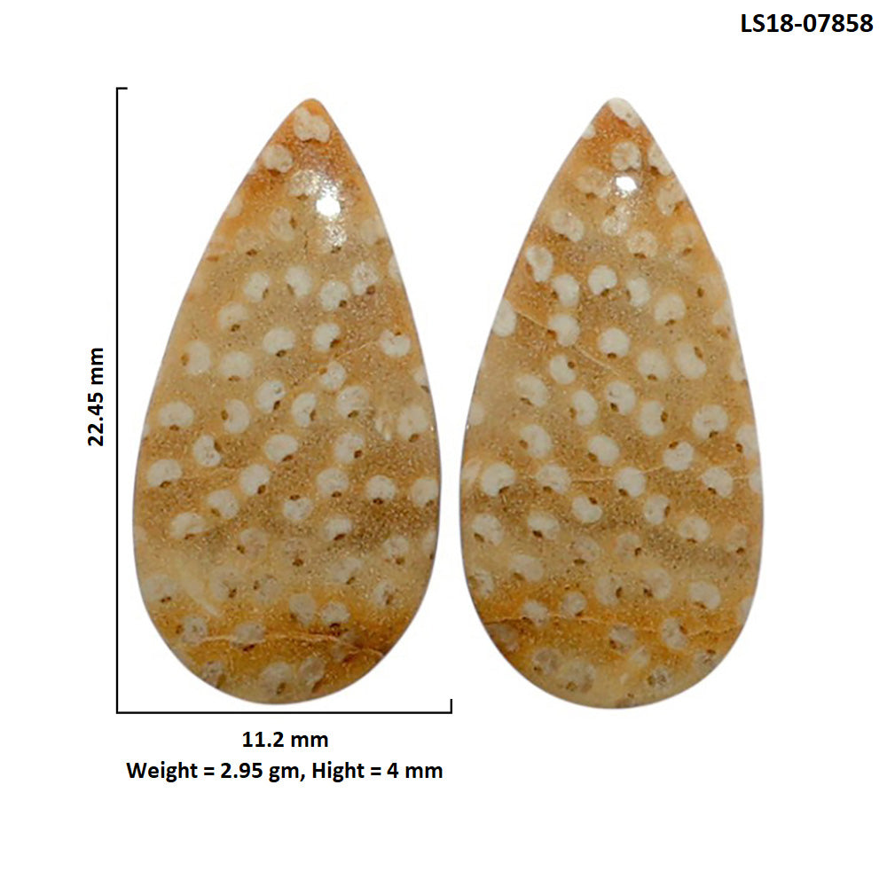Root Plume Agate Pair 11.2x22.45x4 mm Pear Shape Polished Gemstone LS18-07858