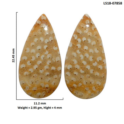 Root Plume Agate Pair 11.2x22.45x4 mm Pear Shape Polished Gemstone LS18-07858