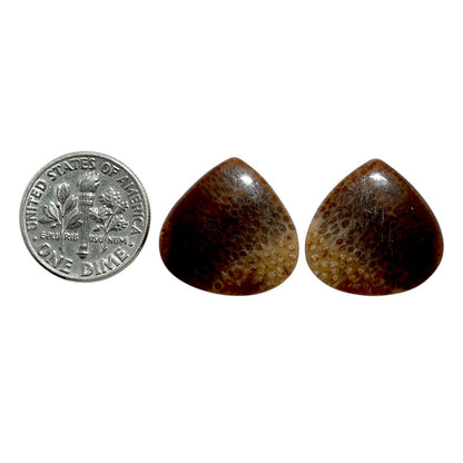 Root Plume Agate Pair 18.5x18.8x4 mm Heart Shape Polished Gemstone LS18-07859