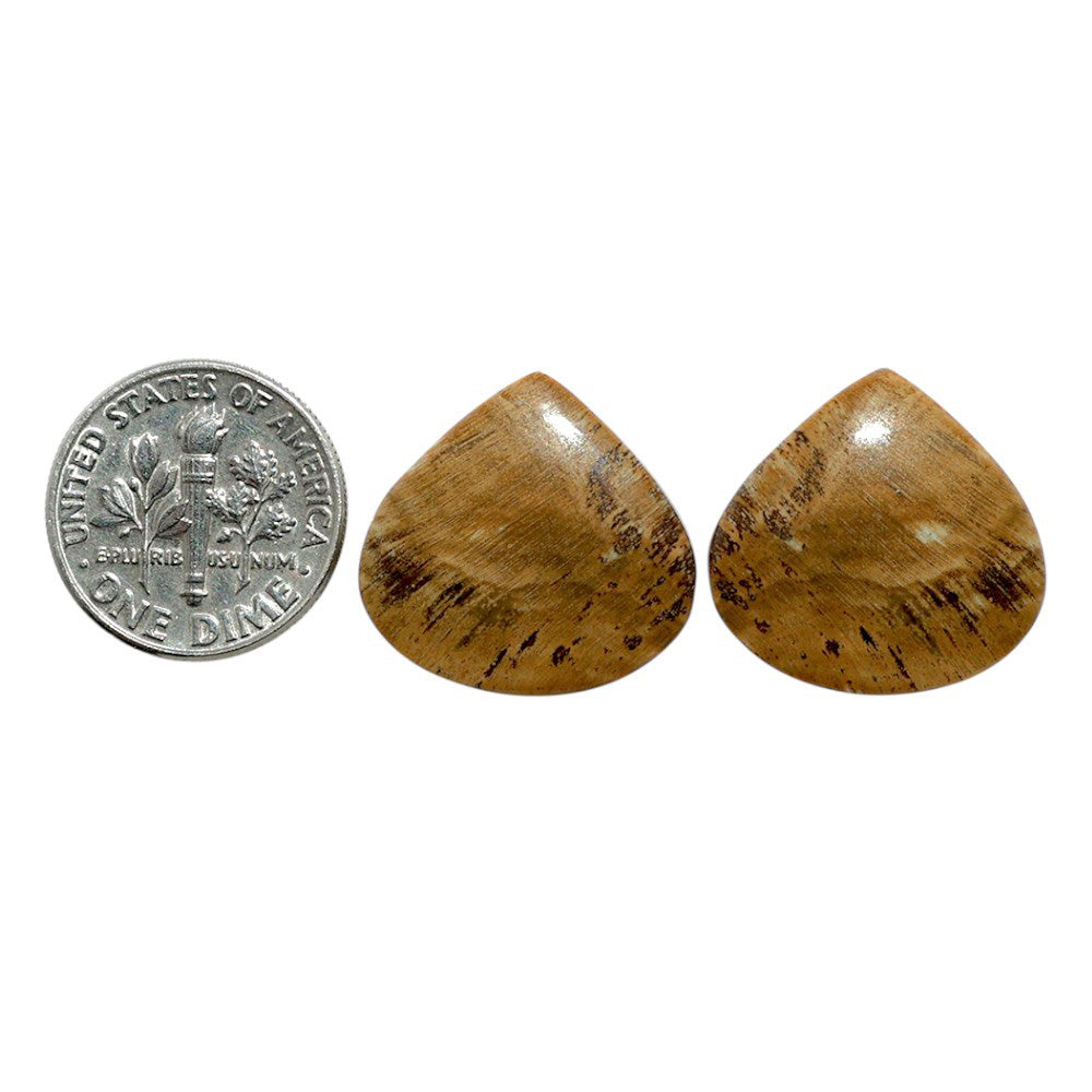 Root Plume Agate Pair 19x19.8x4.3 mm Heart Shape Polished Gemstone LS18-07861