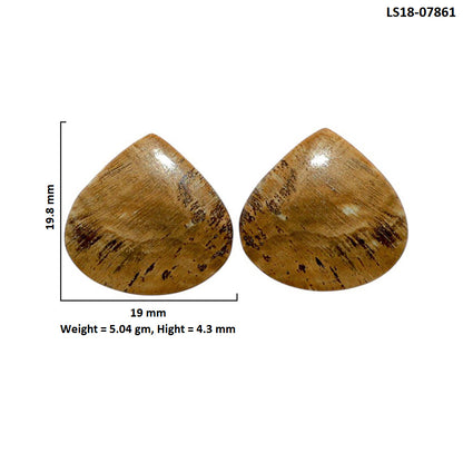 Root Plume Agate Pair 19x19.8x4.3 mm Heart Shape Polished Gemstone LS18-07861