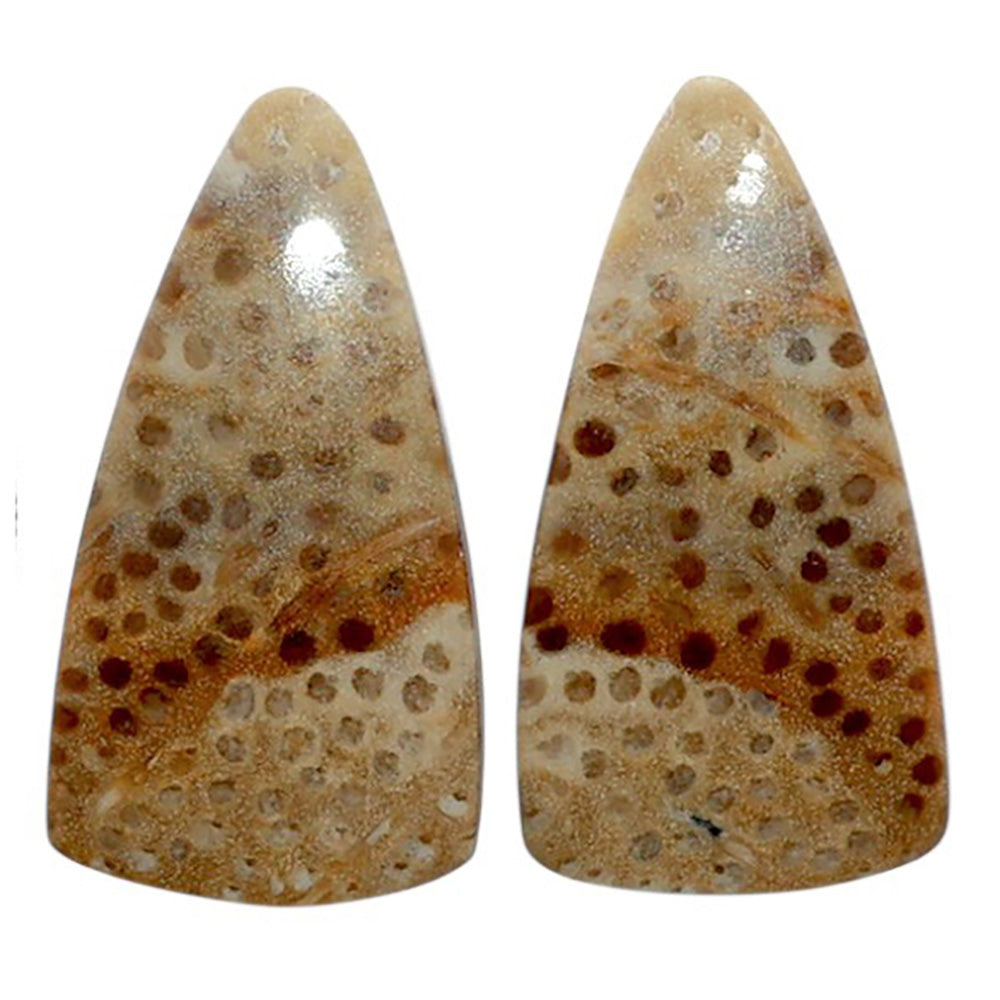 Root Plume Agate Pair 12.1x23x4.4 mm Fancy Shape Polished Gemstone LS18-07862