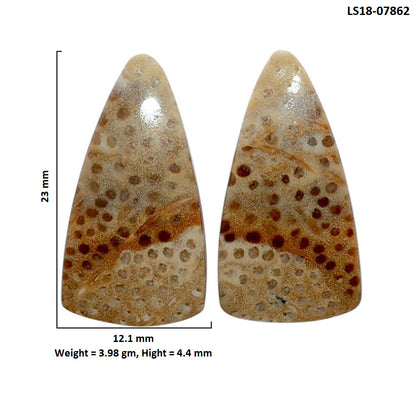 Root Plume Agate Pair 12.1x23x4.4 mm Fancy Shape Polished Gemstone LS18-07862