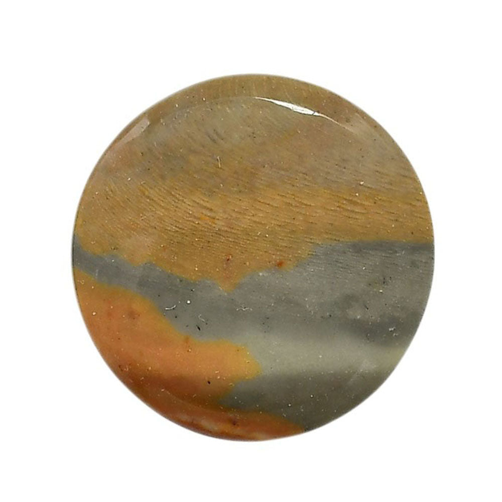 Polygram Jasper 28.5x28.5x5.3 mm Round Shape Polished Gemstone LS20-05666