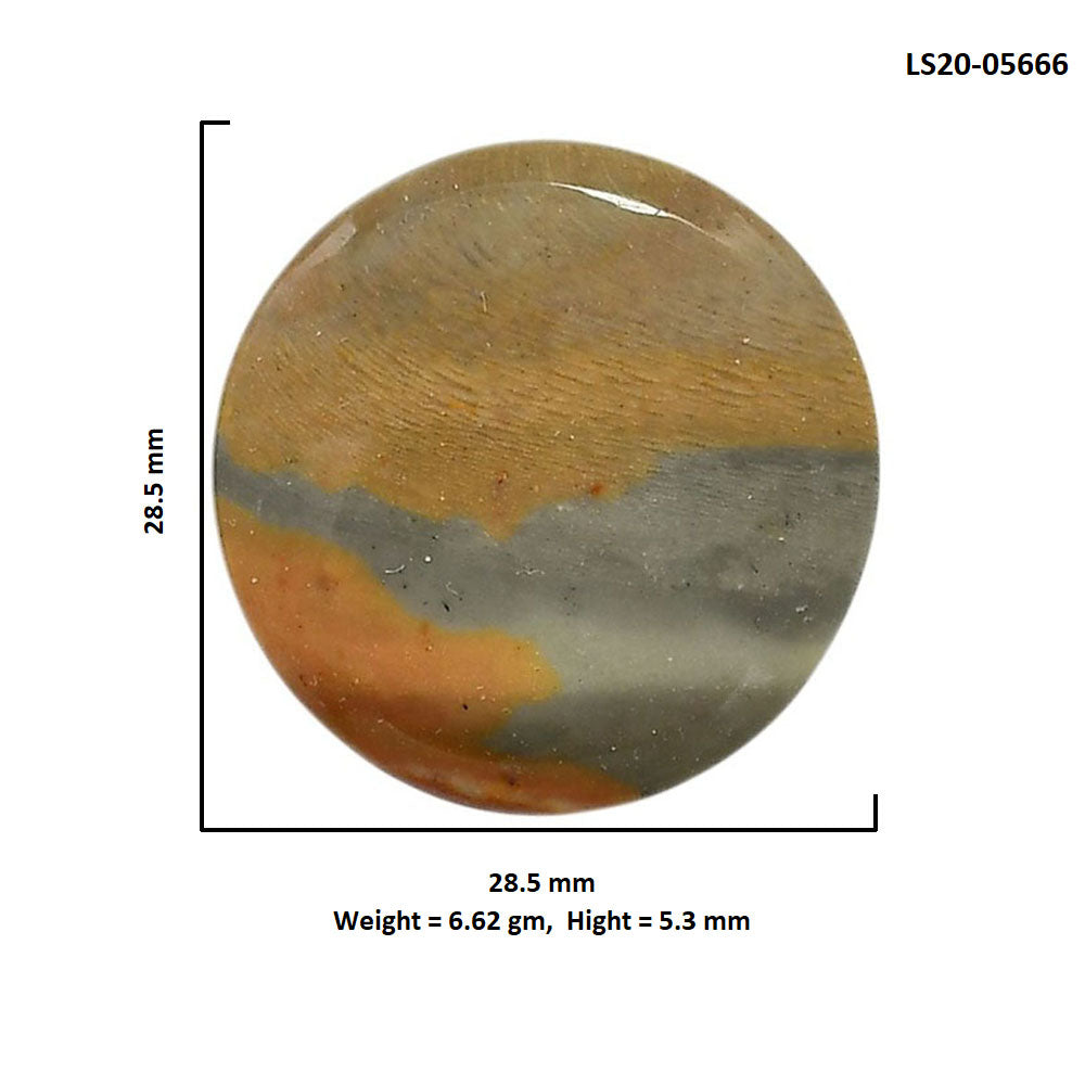 Polygram Jasper 28.5x28.5x5.3 mm Round Shape Polished Gemstone LS20-05666