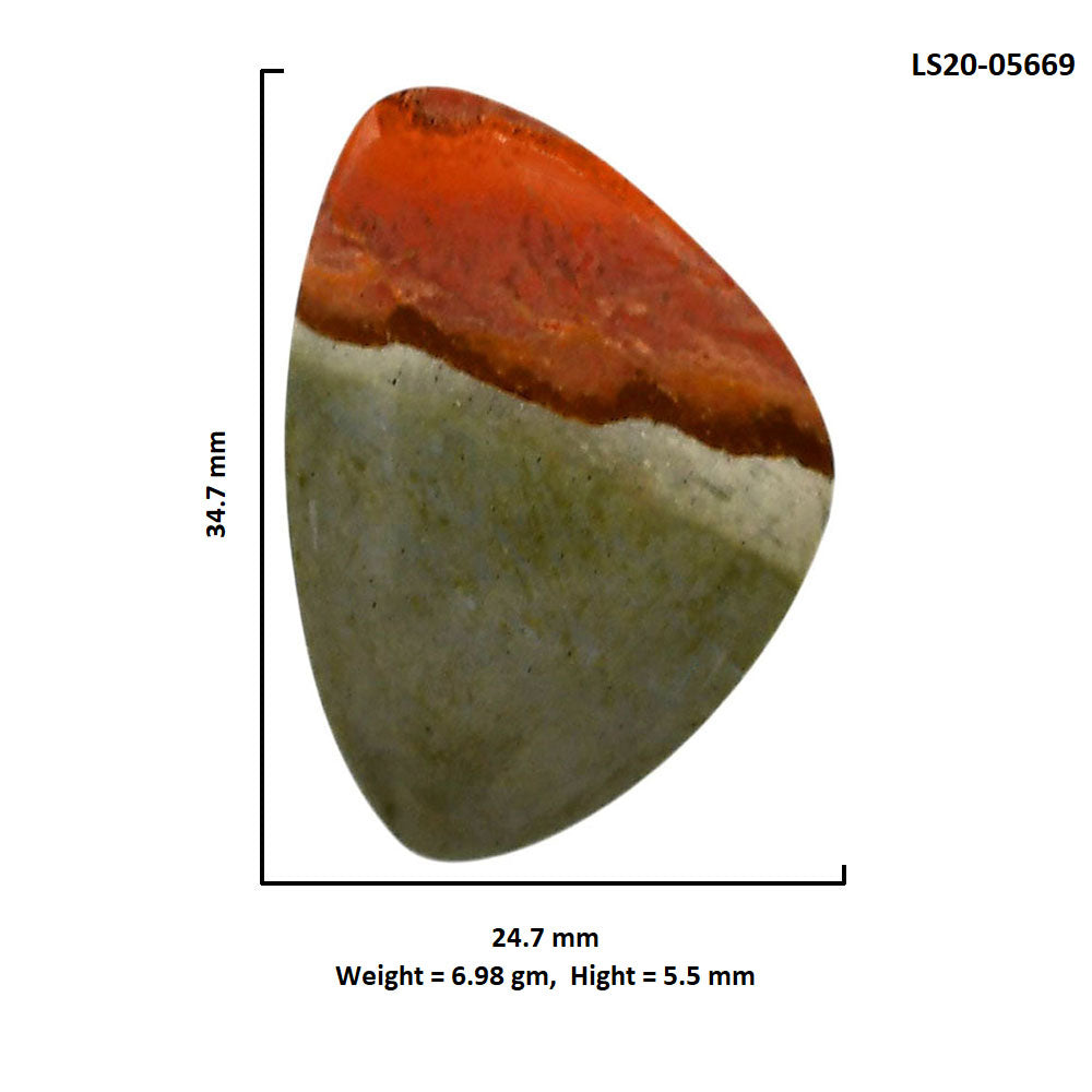 Polygram Jasper 24.7x34.7x5.5 mm Fancy Shape Polished Gemstone LS20-05669