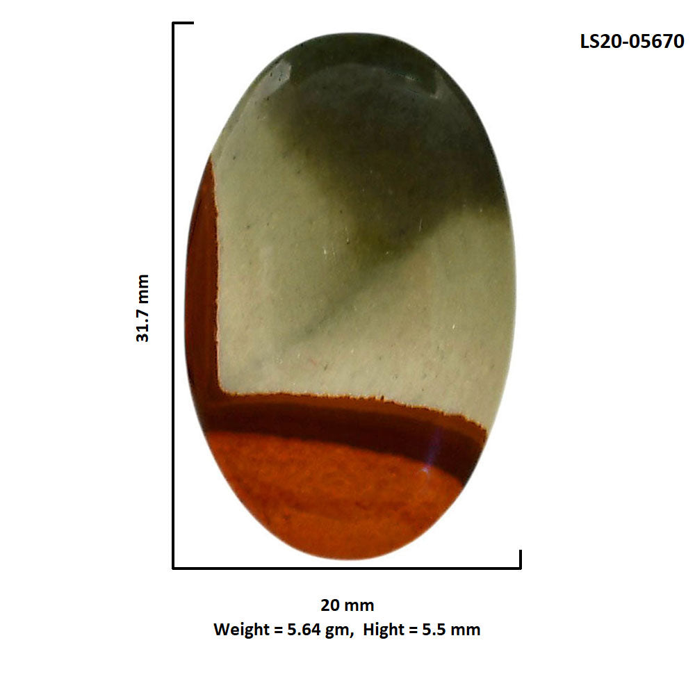 Polygram Jasper 20x31.7x5.5 mm Oval Shape Polished Gemstone LS20-05670