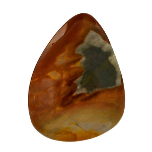 Polygram Jasper 22.55x30.2x5.3 mm Pear Shape Polished Gemstone LS20-05671