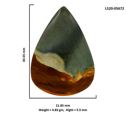 Polygram Jasper 21.85x30.55x5.5 mm Pear Shape Polished Gemstone LS20-05672