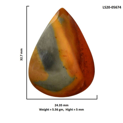Polygram Jasper 24.35x32.7x5 mm Pear Shape Polished Gemstone LS20-05674