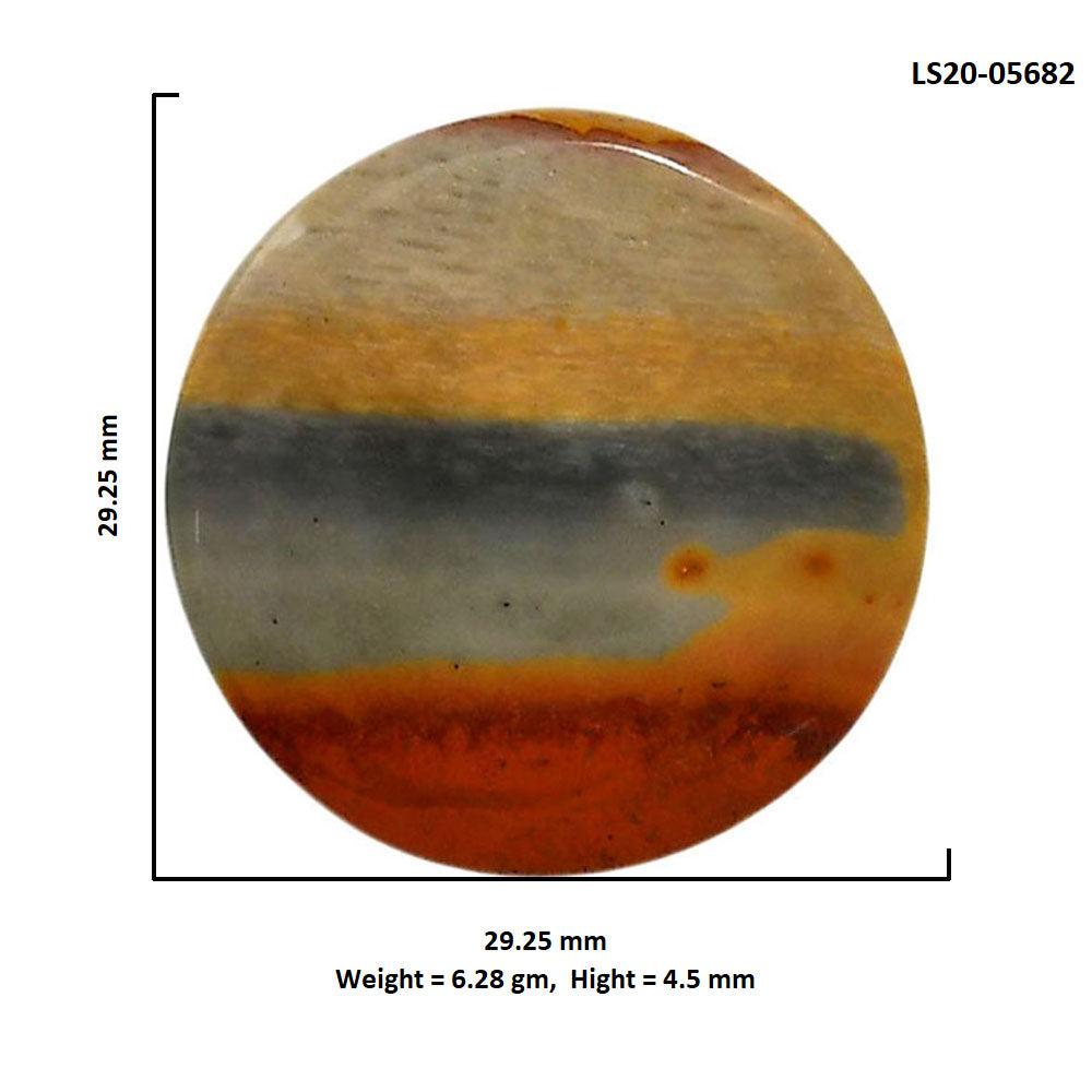 Polygram Jasper 29.25x29.25x4.5 mm Round Shape Polished Gemstone LS20-05682