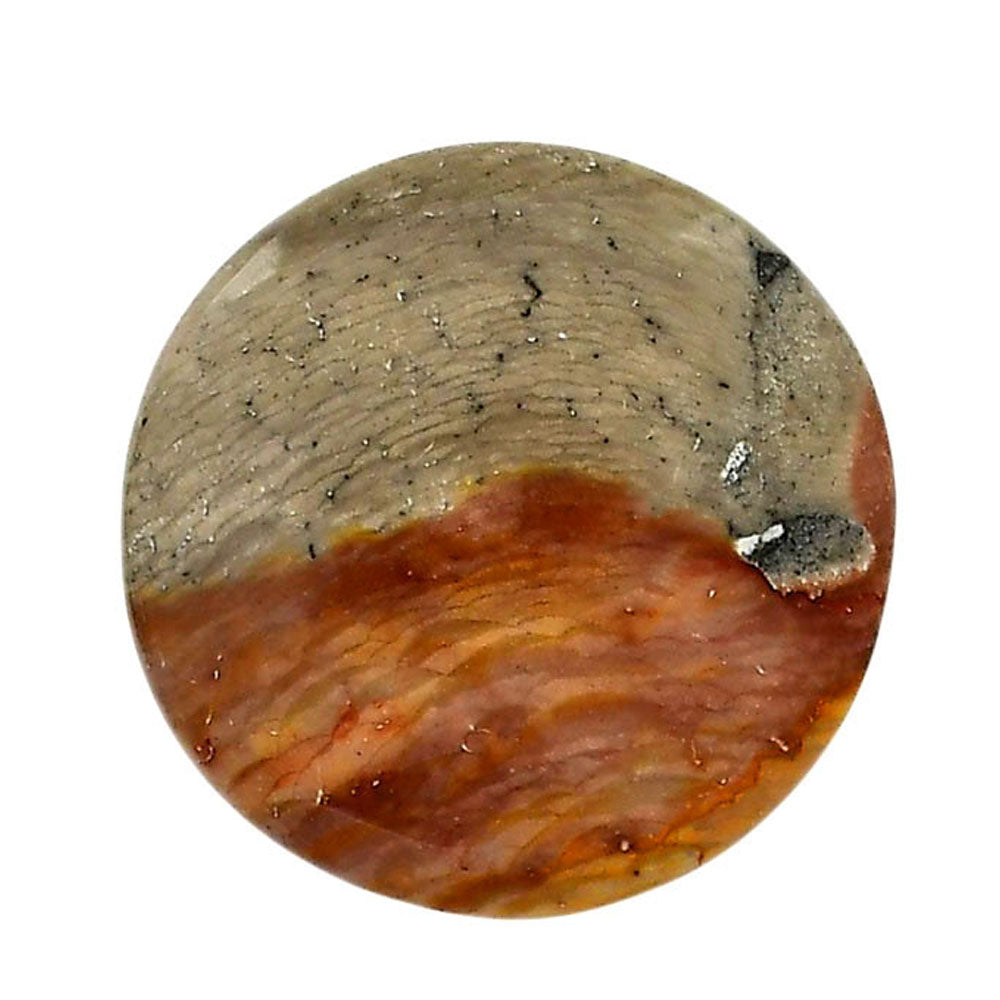 Polygram Jasper 28.6x28.6x5.5 mm Round Shape Polished Gemstone LS20-05683
