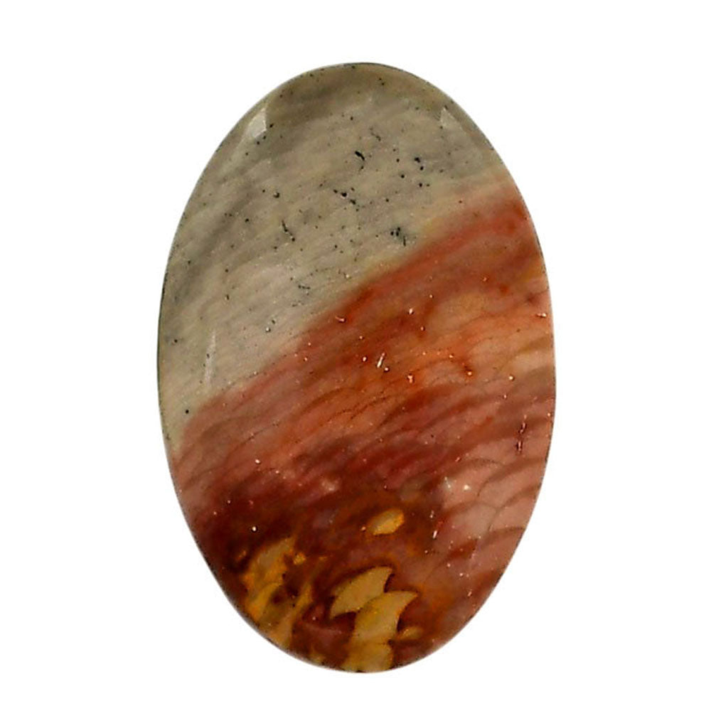 Polygram Jasper 19x28.9x5.5 mm Oval Shape Polished Gemstone LS20-05685