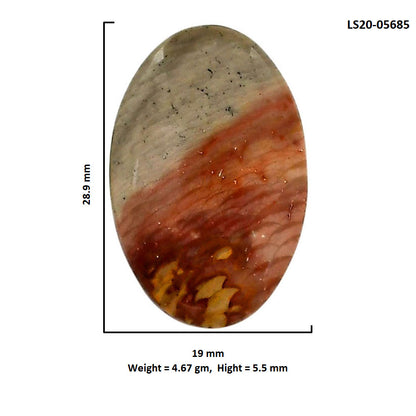 Polygram Jasper 19x28.9x5.5 mm Oval Shape Polished Gemstone LS20-05685