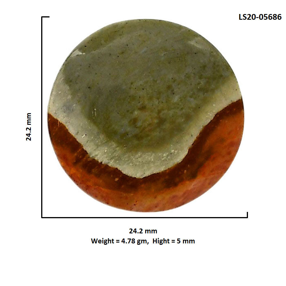 Polygram Jasper 24.2x24.2x5 mm Round Shape Polished Gemstone LS20-05686