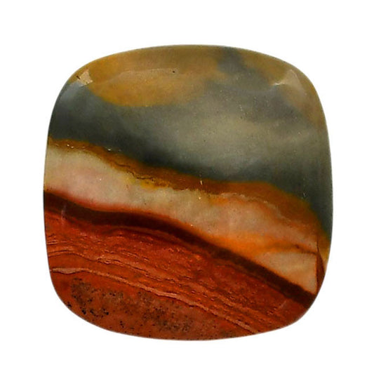 Polygram Jasper 25.6x26.1x5.5 mm Cushion Shape Polished Gemstone LS20-05689