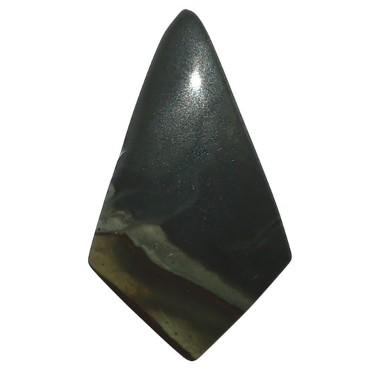 Polygram Jasper 16x28x4 mm Fancy Shape Polished Gemstone LS20-08060