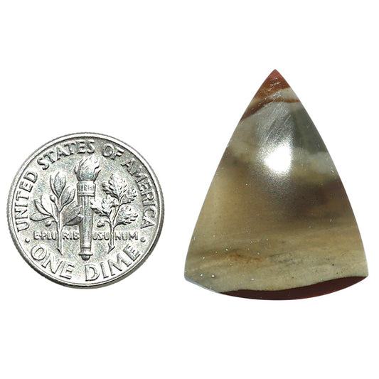 Polygram Jasper 20.85x26.3x5.5 mm Fancy Shape Polished Gemstone LS20-08061