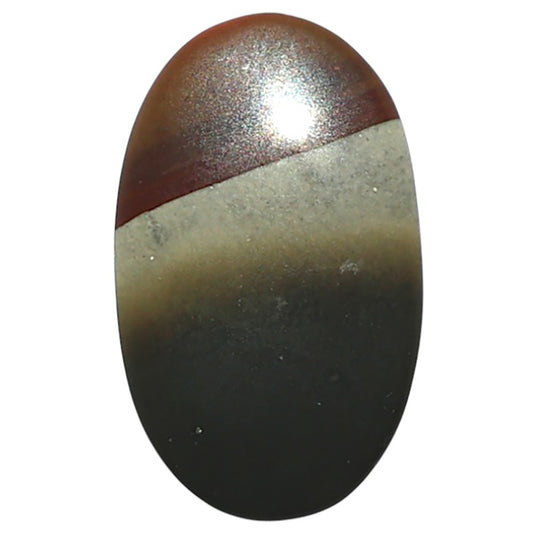 Polygram Jasper 14.2x23.6x3.7 mm Oval Shape Polished Gemstone LS20-08062
