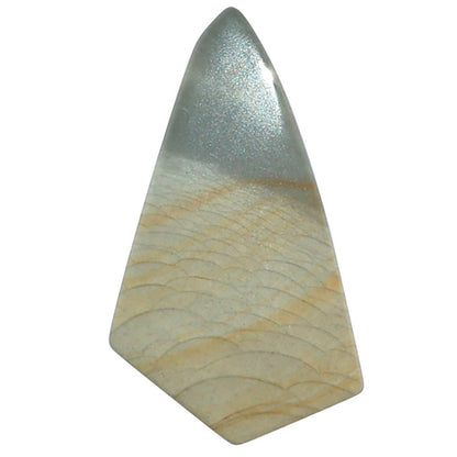 Polygram Jasper 15x27.5x3.5 mm Fancy Shape Polished Gemstone LS20-08064