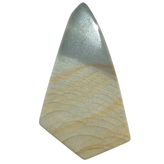 Polygram Jasper 15x27.5x3.5 mm Fancy Shape Polished Gemstone LS20-08064