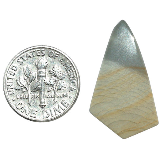 Polygram Jasper 15x27.5x3.5 mm Fancy Shape Polished Gemstone LS20-08064