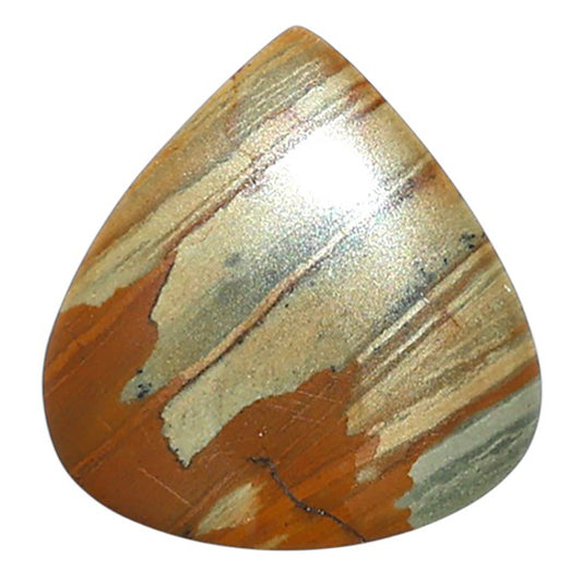 Polygram Jasper 19.5x20.6x4 mm Heart Shape Polished Gemstone LS20-08065