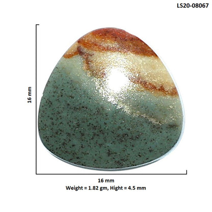 Polygram Jasper 16x16x4.5 mm Fancy Shape Polished Gemstone LS20-08067