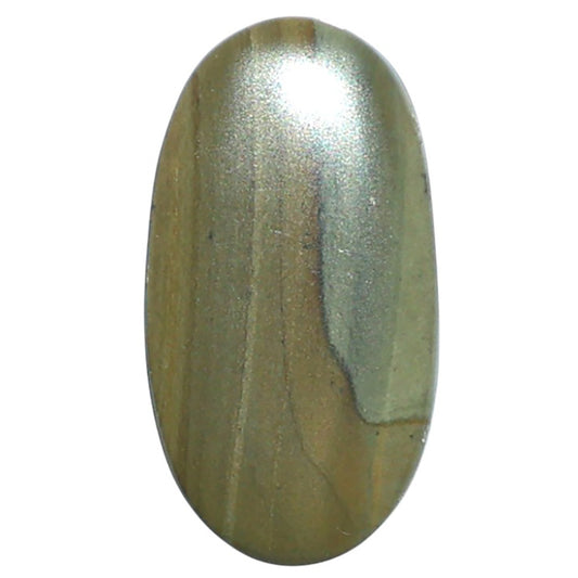 Polygram Jasper 12.6x23.6x3.5 mm Oval Shape Polished Gemstone LS20-08071