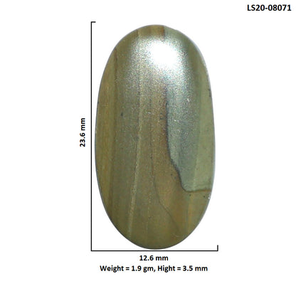 Polygram Jasper 12.6x23.6x3.5 mm Oval Shape Polished Gemstone LS20-08071