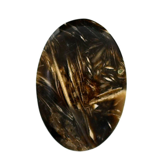 Bat Cave Jasper 21.55x31.3x5 mm Oval Shape Polished Gemstone LS21-05647