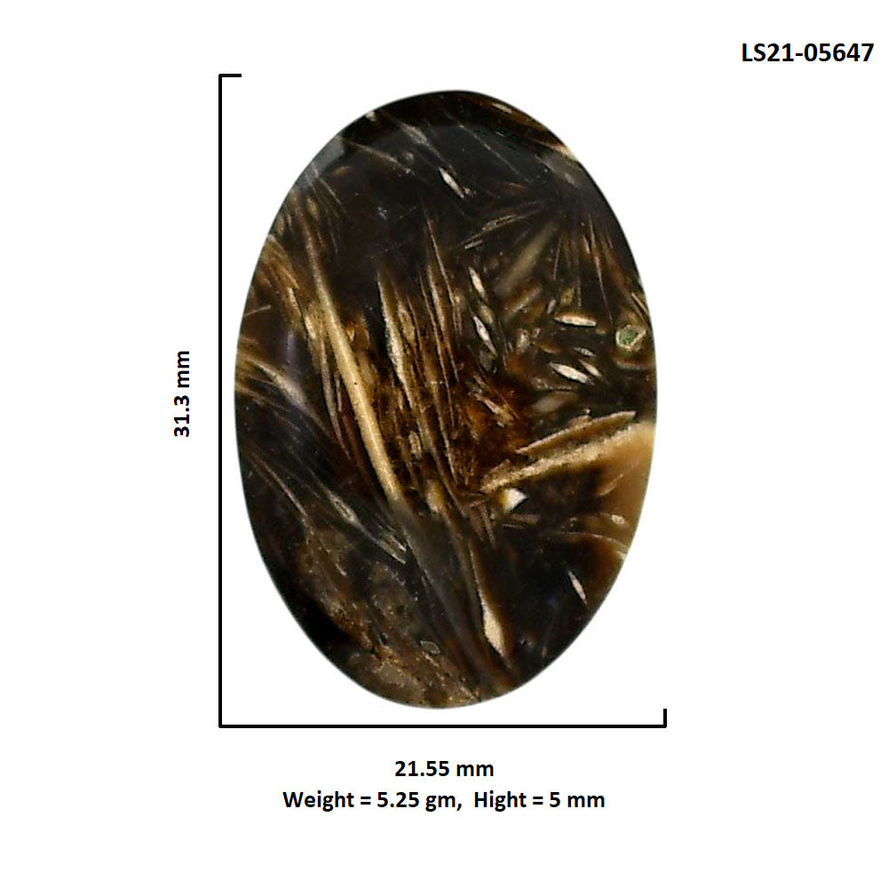 Bat Cave Jasper 21.55x31.3x5 mm Oval Shape Polished Gemstone LS21-05647