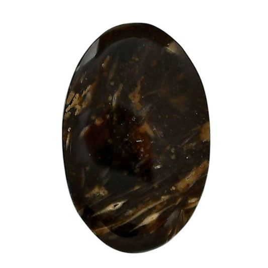 Bat Cave Jasper 20.2x31.25x5 mm Oval Shape Polished Gemstone LS21-05655