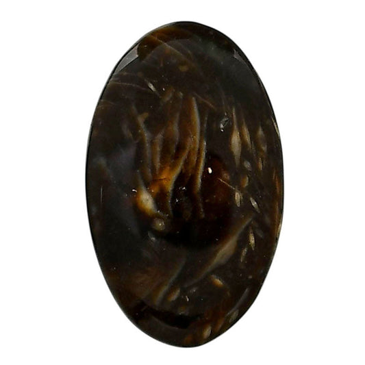 Bat Cave Jasper 19.2x31.45x5 mm Oval Shape Polished Gemstone LS21-05659