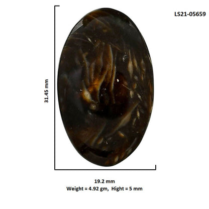 Bat Cave Jasper 19.2x31.45x5 mm Oval Shape Polished Gemstone LS21-05659
