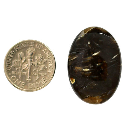 Bat Cave Jasper 18.5x26.5x6 mm Oval Shape Polished Gemstone LS21-05660