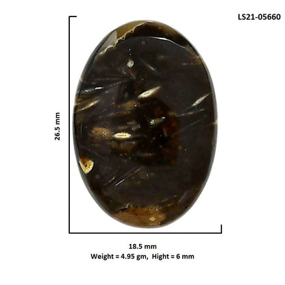 Bat Cave Jasper 18.5x26.5x6 mm Oval Shape Polished Gemstone LS21-05660