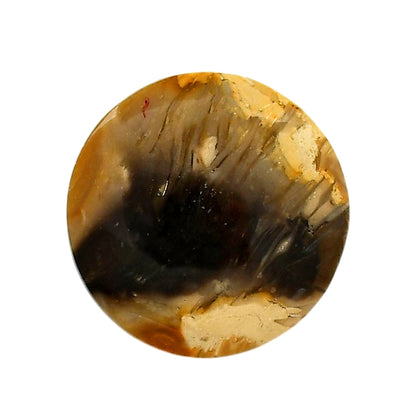 Bat Cave Jasper 28x28x6.3 mm Round Shape Polished Gemstone LS21-05665
