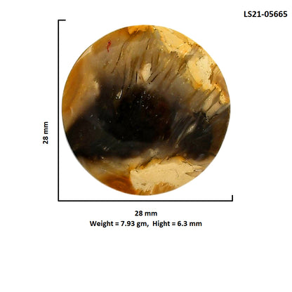 Bat Cave Jasper 28x28x6.3 mm Round Shape Polished Gemstone LS21-05665