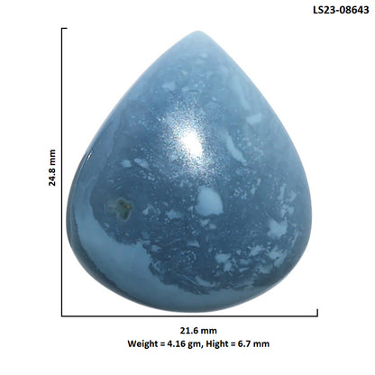 Owyhee Opal 21.6x24.8x6.7 mm Pear Shape Polished Gemstone LS23-08643