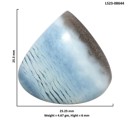 Owyhee Opal 25.25x25.3x6 mm Heart Shape Polished Gemstone LS23-08644