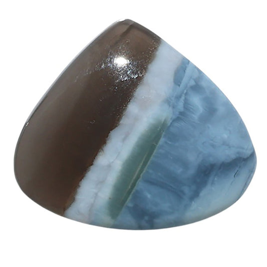 Owyhee Opal 22.6x26x5 mm Heart Shape Polished Gemstone LS23-08648