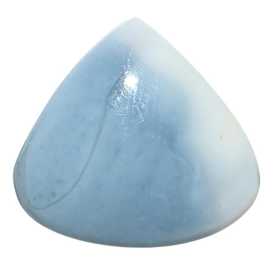 Owyhee Opal 22.2x23.8x6 mm Heart Shape Polished Gemstone LS23-08649