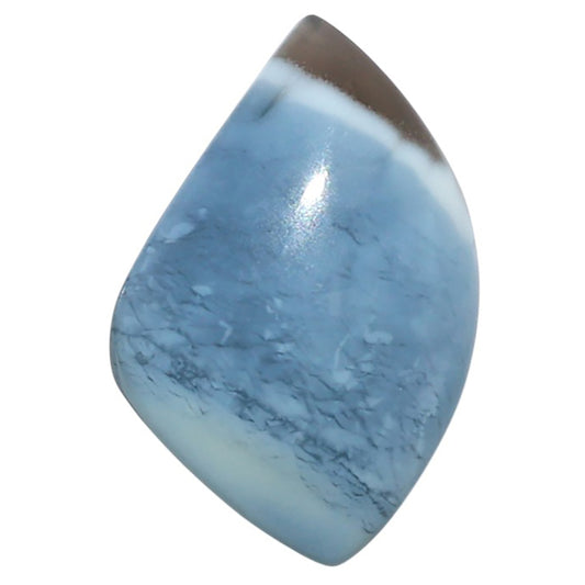Owyhee Opal 15.9x24.5x5.8 mm Fancy Shape Polished Gemstone LS23-08655