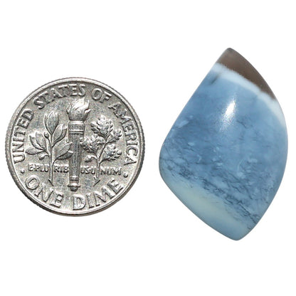 Owyhee Opal 15.9x24.5x5.8 mm Fancy Shape Polished Gemstone LS23-08655